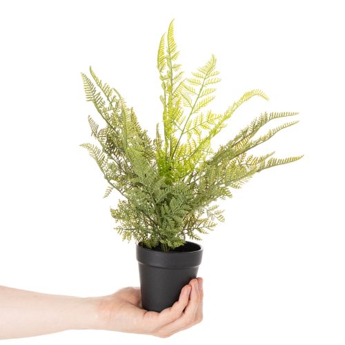 Artificial fern plant in a pot for indoor greenery, 40cm | Floristik24.ie