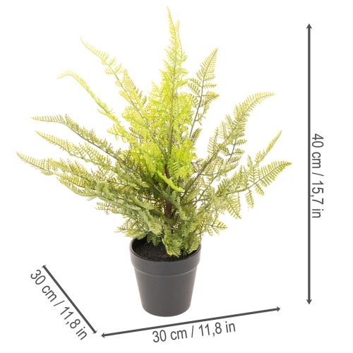 Artificial fern plant in a pot for indoor greenery, 40cm | Floristik24.ie