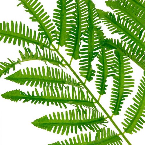 Floristik24 Fern Leaves Green, Fern 3 Leaves on Branch, Milkweed L96cm