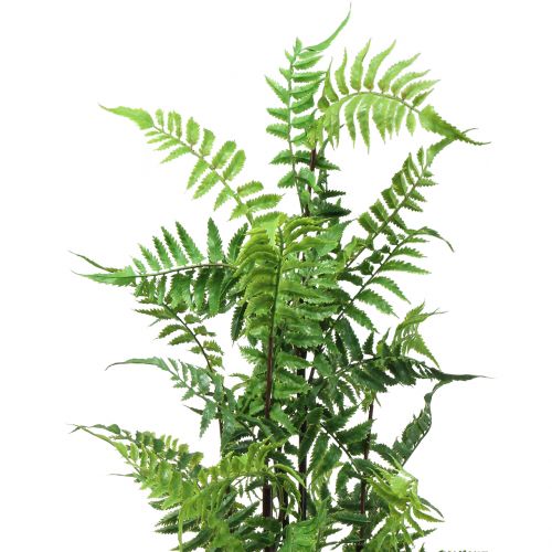 Product Tree fern in a pot green 80cm
