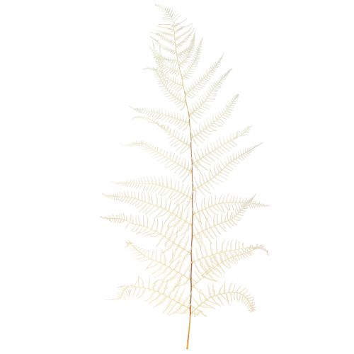 Floristik24 Fern Leaves White Fern Dried Bleached 50cm 10 pcs