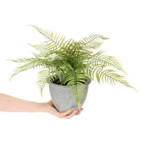 Artificial fern in a plant pot for living room and office, 35cm | Floristik24.ie