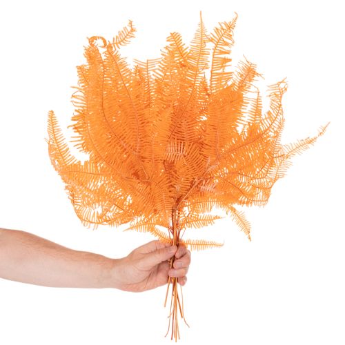 Fern branch, preserved fern, dried decoration for arrangements, 60cm, 10 pieces | Floristik24.ie