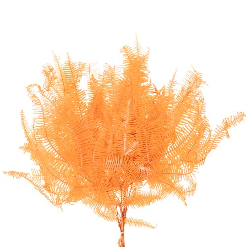 Fern branch, preserved fern, dried decoration for arrangements, 60cm, 10 pieces | Floristik24.ie