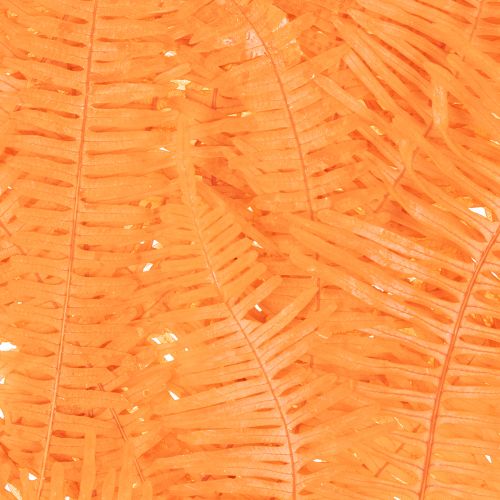 Fern branch, preserved fern, dried decoration for arrangements, 60cm, 10 pieces | Floristik24.ie