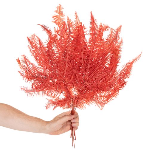 Ferns, preserved dried flowers, autumn decoration, 60cm, 10 pieces | Floristik24.ie