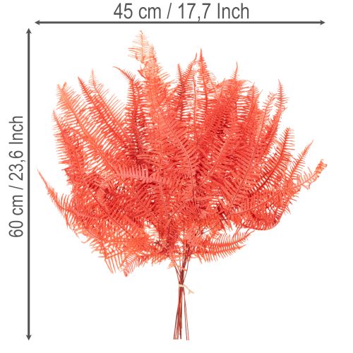 Ferns, preserved dried flowers, autumn decoration, 60cm, 10 pieces | Floristik24.ie