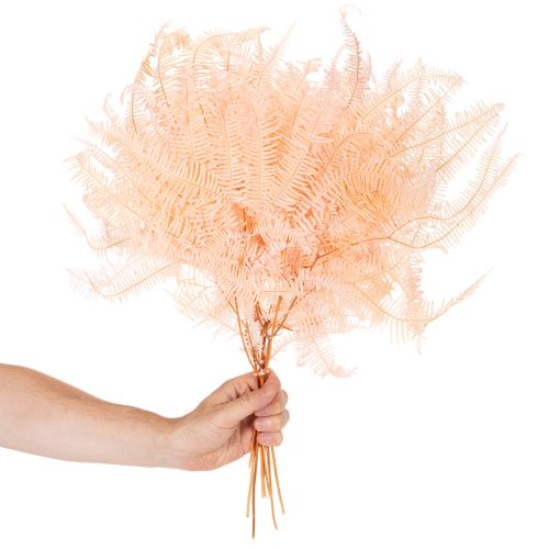 Dried fern fronds, fern decoration for vases, 60cm, 10 pieces | Floristik24.ie