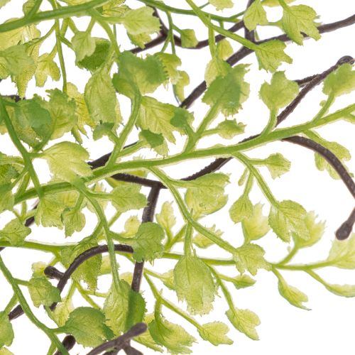 Artificial green Ruscus branch for floral decoration, 41cm | Floristik24.ie