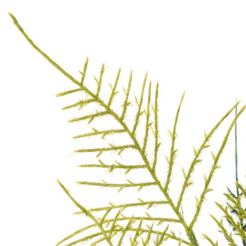 Artificial fern branch decoration, green, lifelike, 56cm | Floristik24.ie