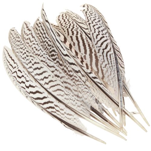 Product Pheasant Feathers for Crafting Brown Beige Natural 20cm 20pcs