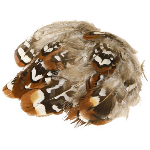 Product Pheasant feathers for crafts, brown spotted, 4-9 cm, 60 pieces