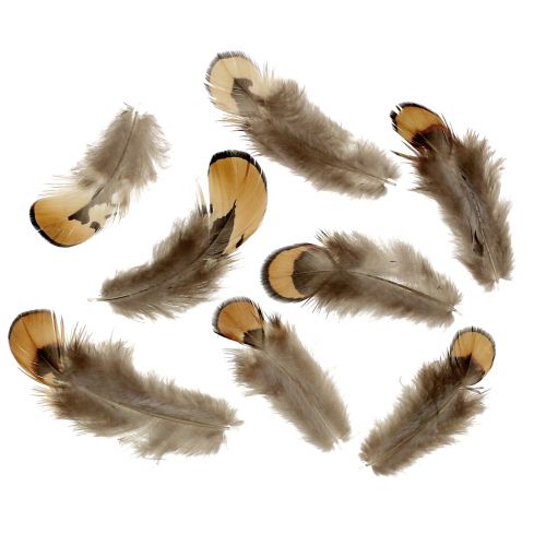 Floristik24 Feather mix natural 12g