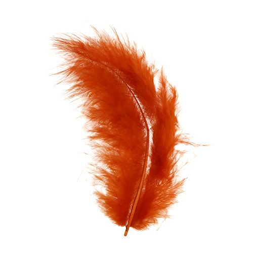 Floristik24 Feather short dark orange 30g