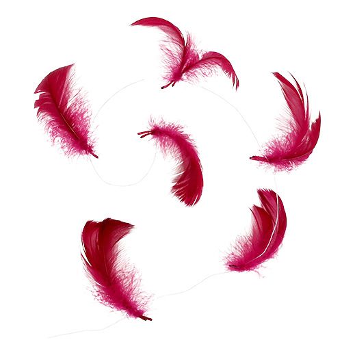 Floristik24 Spring on wire Erika 10m