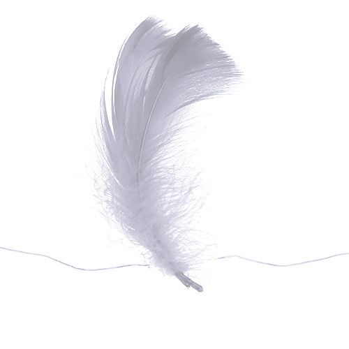 Floristik24 Spring on wire White 10m