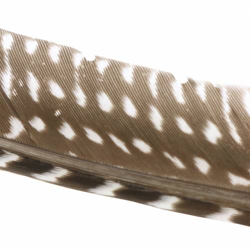 Feathers natural 18 - 24cm 10g
