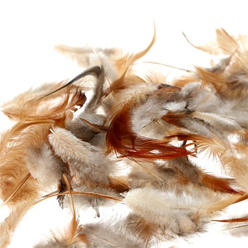 Floristik24 Feather sort. 5-15cm nature 228pcs