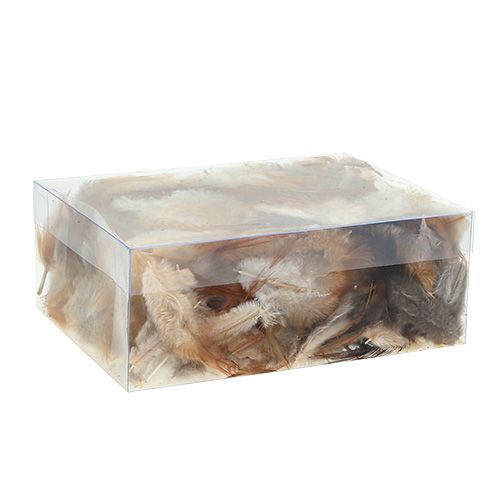 Floristik24 Feather sort. 5-15cm nature 228pcs