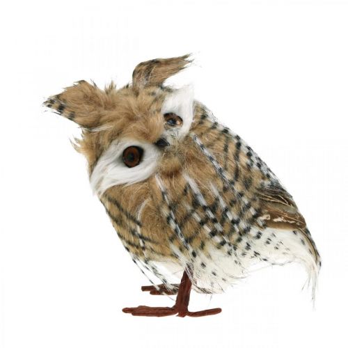 Floristik24 Forest owl, autumn decoration, decorative owl, Halloween H16cm