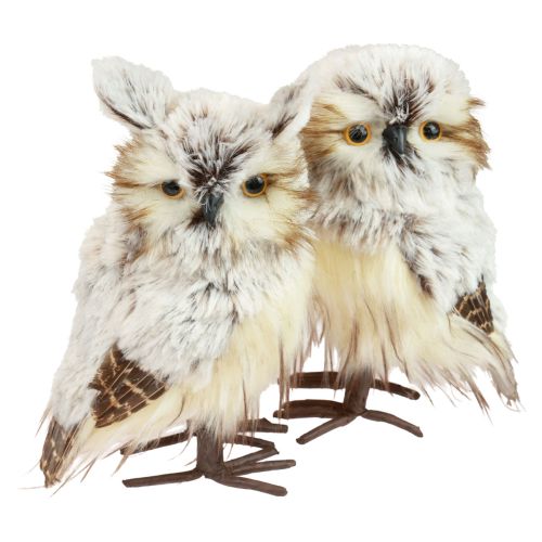 Floristik24 Owl decoration owl figures, forest animals decoration 21/22cm white-brown set of 2