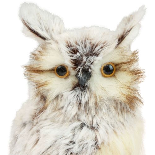 Floristik24 Owl decoration owl figures, forest animals decoration 21/22cm white-brown set of 2