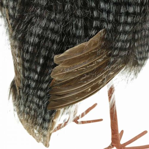 Floristik24 Forest owl, winter decoration, decorative owl, autumn H41cm