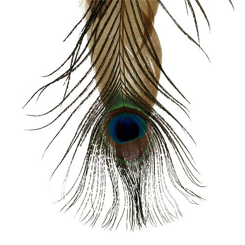 Floristik24 Feather hanger peacock feather 34cm 3pcs