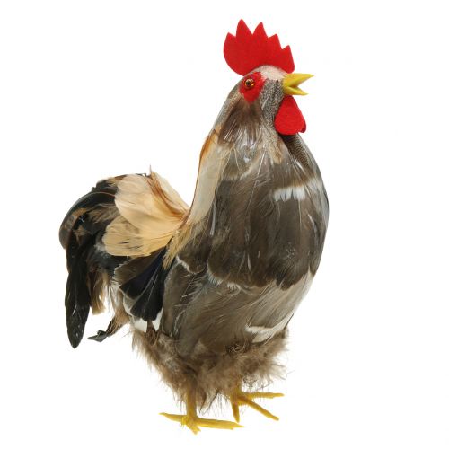 Product Easter decoration cock and hen with feathers nature H26cm set of 2