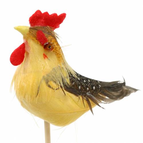 Floristik24 Rooster with real feathers on stick Orange, Yellow, Brown Assorted H5-6cm 12 pcs