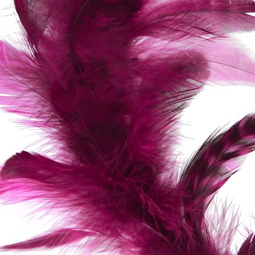 Product Feather wreath Burgundy feather decoration pheasant feathers Ø20cm 3 pcs