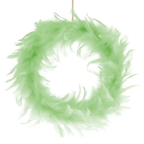 Floristik24 Spring wreath light green Ø20cm 3pcs
