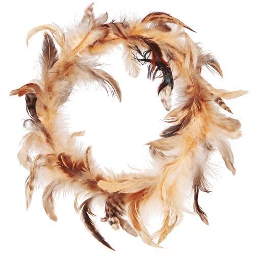 Product Feather wreath in light brown decorative wreath feathers Ø20cm 3 pcs
