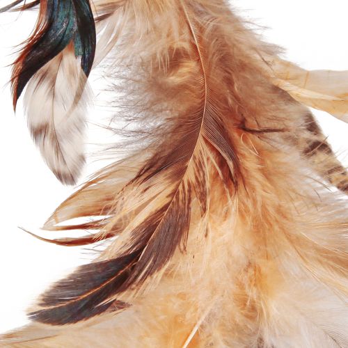 Product Feather wreath in light brown decorative wreath feathers Ø20cm 3 pcs