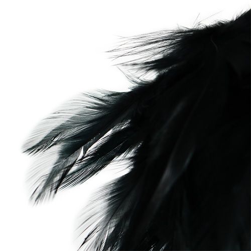 Product Feather ball Ø10cm black to hang