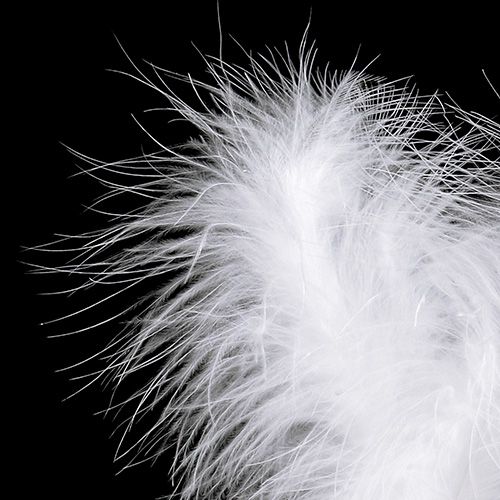 Product Feathers on Wire L27cm White 6 pcs