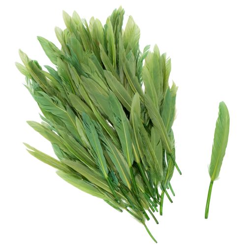 Decorative feathers for a stylish ambiance and impressive decorations 10cm