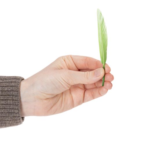 Product Decorative feathers for a stylish ambiance and impressive decorations 10cm