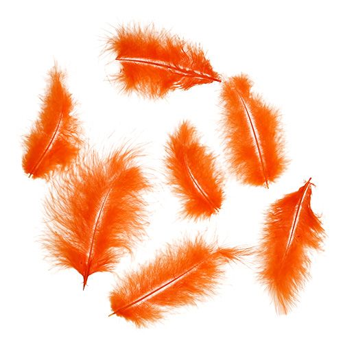Short feathers 30g orange