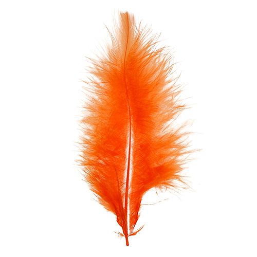 Product Short feathers 30g orange