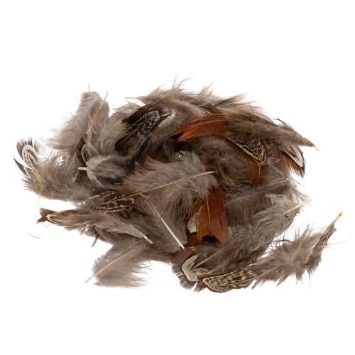 Feathers for versatile craft ideas, creative design and decoration ideas, 5cm, 3g