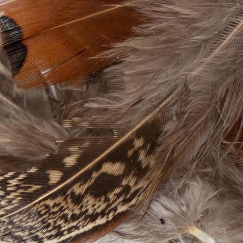 Product Feathers for versatile craft ideas, creative design and decoration ideas, 5cm, 3g