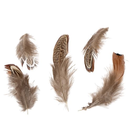 Product Feathers for versatile craft ideas, creative design and decoration ideas, 5cm, 3g