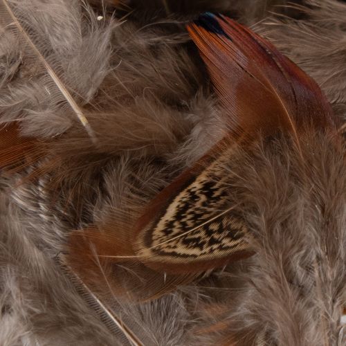 Product Feathers for versatile craft ideas, creative design and decoration ideas, 5cm, 3g