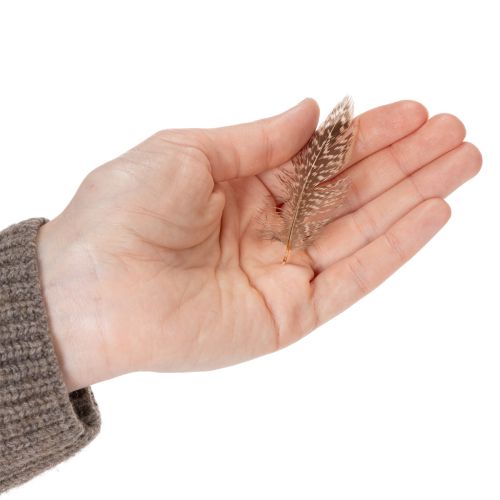 Product Feathers for versatile craft ideas, creative design and decoration ideas, 5cm, 3g