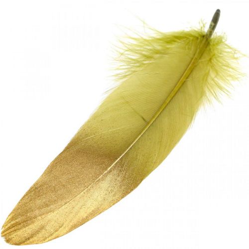 Floristik24 Feathers for crafting Decorative feathers Green-Golden L16-20cm 24 pcs