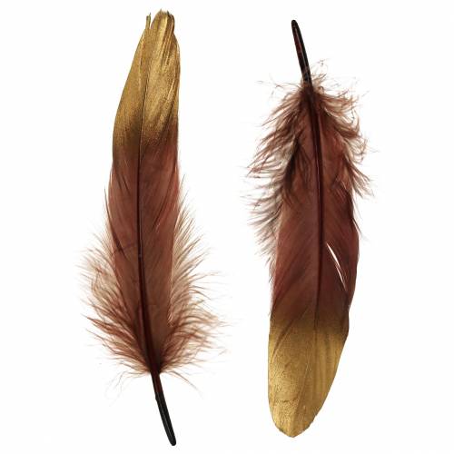 Floristik24 Feathers burgundy, gold 18-23cm 24pcs