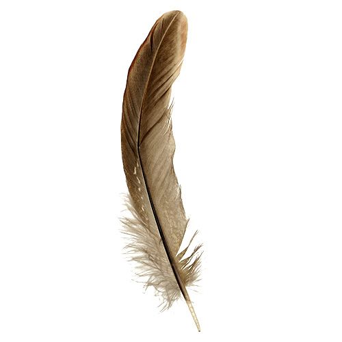 Product Feathers brown spotted 14-16cm 45g