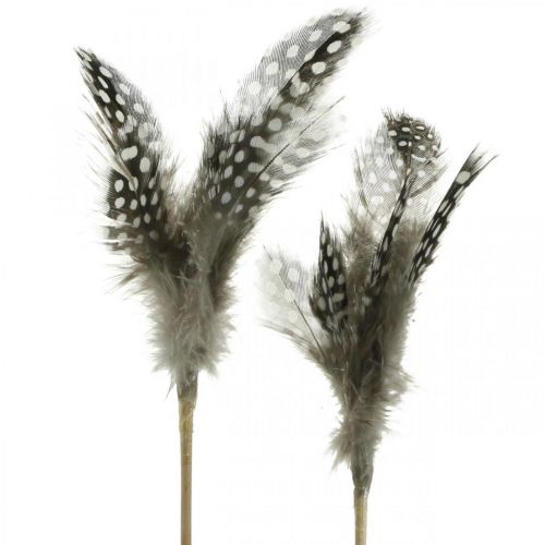 Floristik24 Decorative feathers dotted on stick Real guinea fowl feathers 4-8cm 24 pcs
