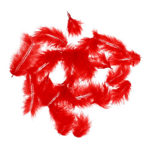 Product Short feathers 30g red